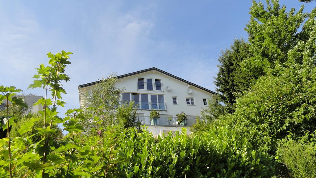 Landhotel Fernsicht Винтерберг Екстериор снимка